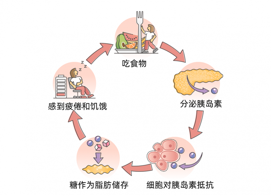 什么是血糖？附空腹/餐后/糖化控制目標(biāo)